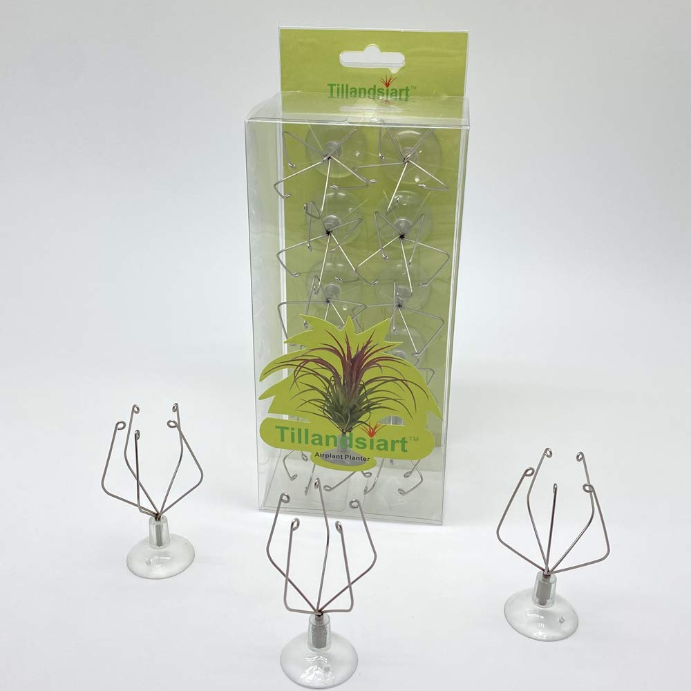 10 Pack Vertical Air Plant Holders with Suction Cups - Stainless Steel Tillandsia Planters for Wall & Window Display - Perfect for Home, Office Decor & DIY Tillandsia Art (Small)