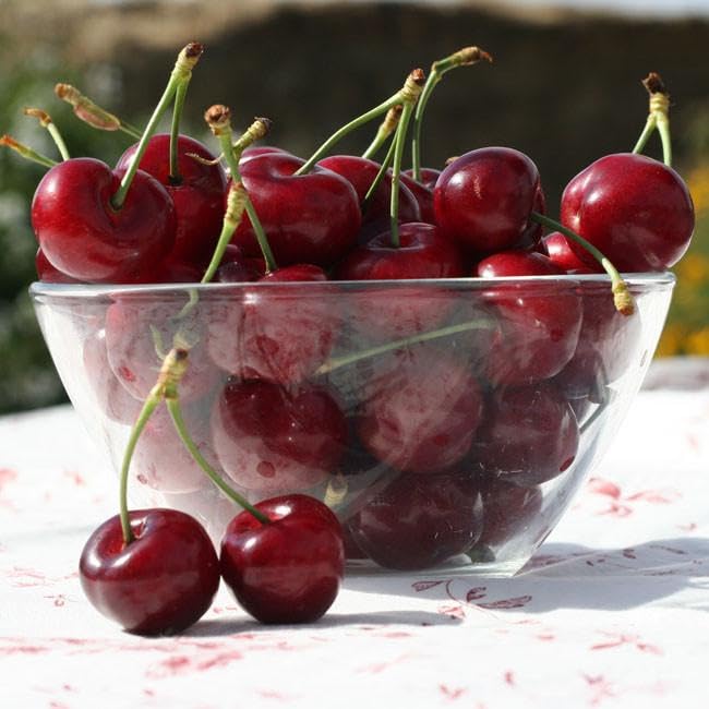 Non-GMO Mixed Fruit Seeds for Planting - 100 Grape, 100 Apple, 100 Kiwi, 100 Cherimoya, 10 Mulberry, 20 Cherry Seeds - Fresh Home Garden Seeds for DIY Planting, Backyard Orchard & Indoor Gardening