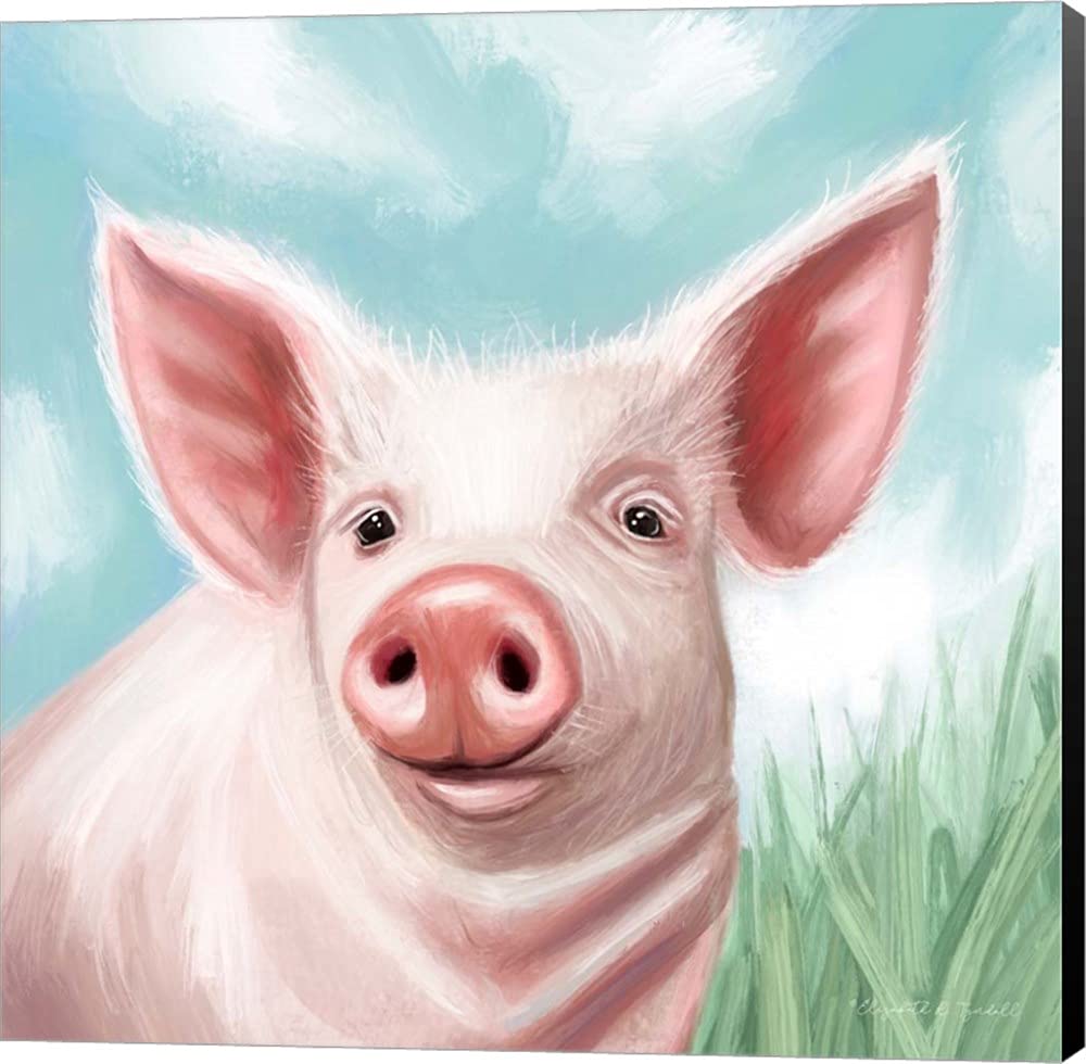Farmhouse Pig Canvas Art by Elizabeth Tyndall - 24x24 Inch Museum Wrapped Wall Decor with Black Sides - Perfect for Living Room, Bedroom, or Country Style Home Decor