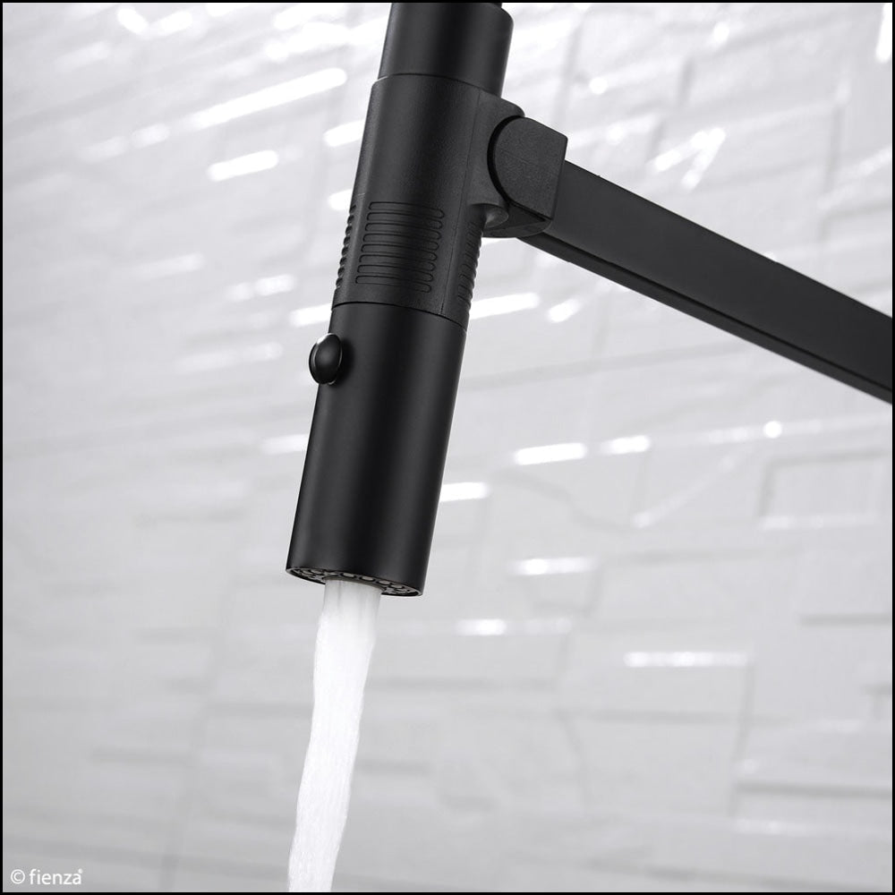Fienza Kaya 228109B Matte Black Pull Down Kitchen Faucet with Sprayer - Perfect for Modern Farmhouse, RV, and Commercial Sink Installations