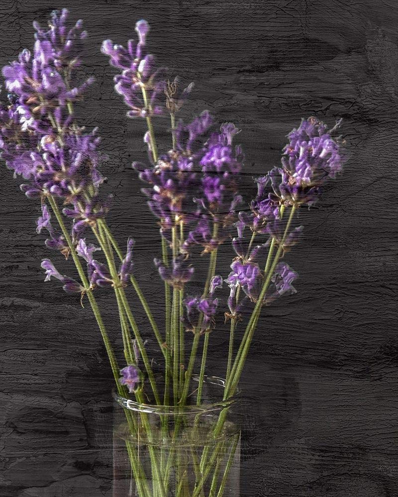 Allen Kimberly Lavender Jar Poster Print - 24x36 Inch Multicolor Wall Art Decor for Home, Office & Studio | Vintage Floral Aesthetic, Perfect for Living Room, Bedroom & Gift Giving