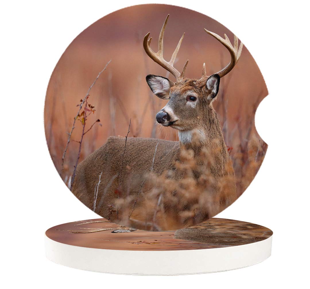 Premium Absorbent Ceramic Car Coasters with Deer Grass Design - 2 Pack Non-Slip Cup Holder Coasters with Finger Notch for Easy Removal | Perfect for SUVs, Sedans & Trucks - Ideal Car Accessories Gift for Men & Women