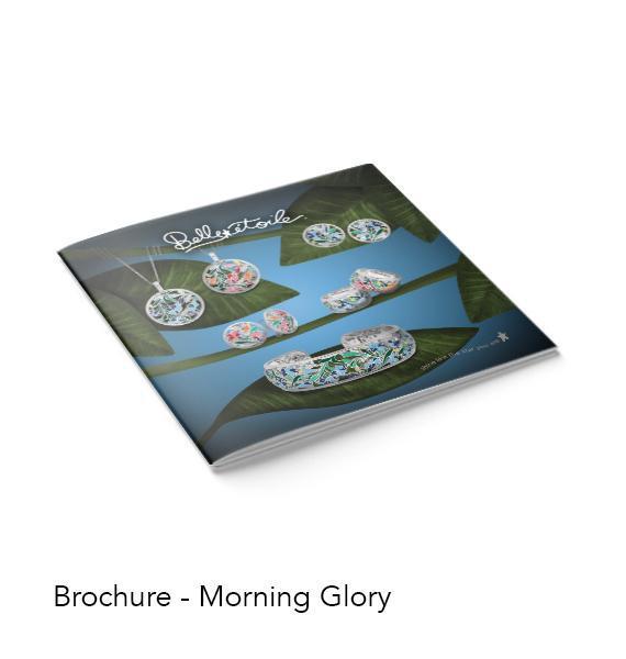 Custom Brochures for Business Marketing & Promotions - High-Quality Printing for Trade Shows, Events & Retail Displays