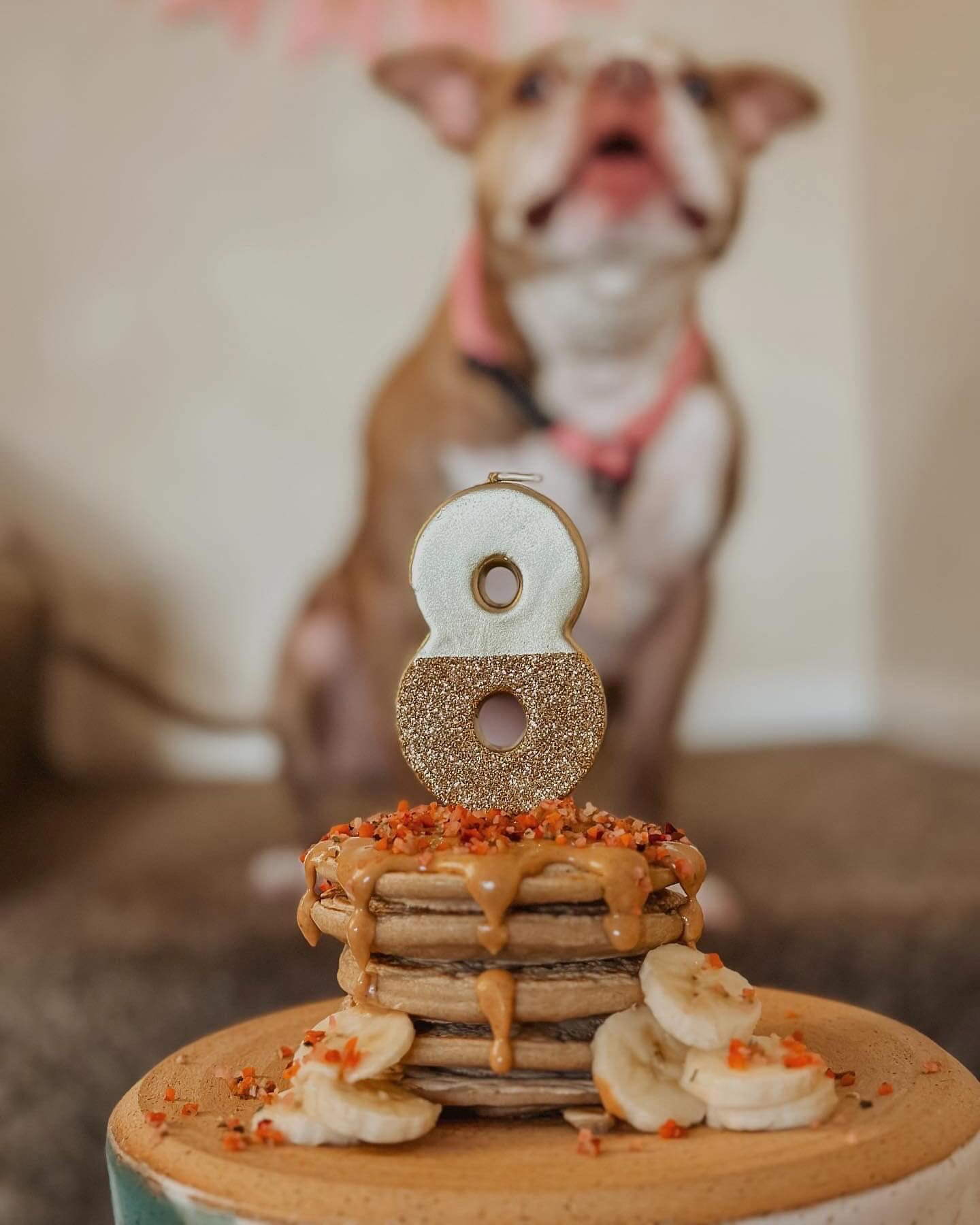 Superberry Snoot BUDDY BUDDER + POOCH PANCAKES - All-Natural Dog Pancake & Waffle Mix for Treats, Birthdays & Special Occasions - Made in USA - Perfect for Dog Parties, Training Rewards & Homemade Dog Treats