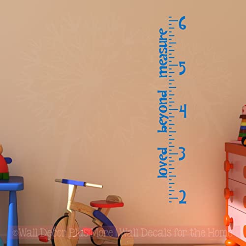 Baby Growth Chart Wall Sticker - Blue Vinyl Decal for Nursery & Kids Room Decor