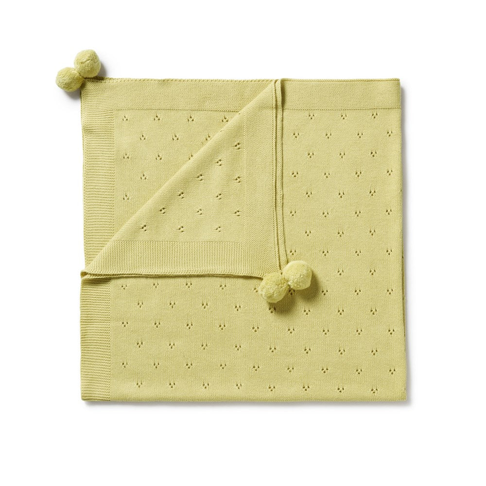 Soft & Cozy Endive Knitted Pointelle Blanket - Breathable Lightweight Throw for Bed, Couch & Nursery - Perfect for Relaxing, Lounging & Baby Swaddling