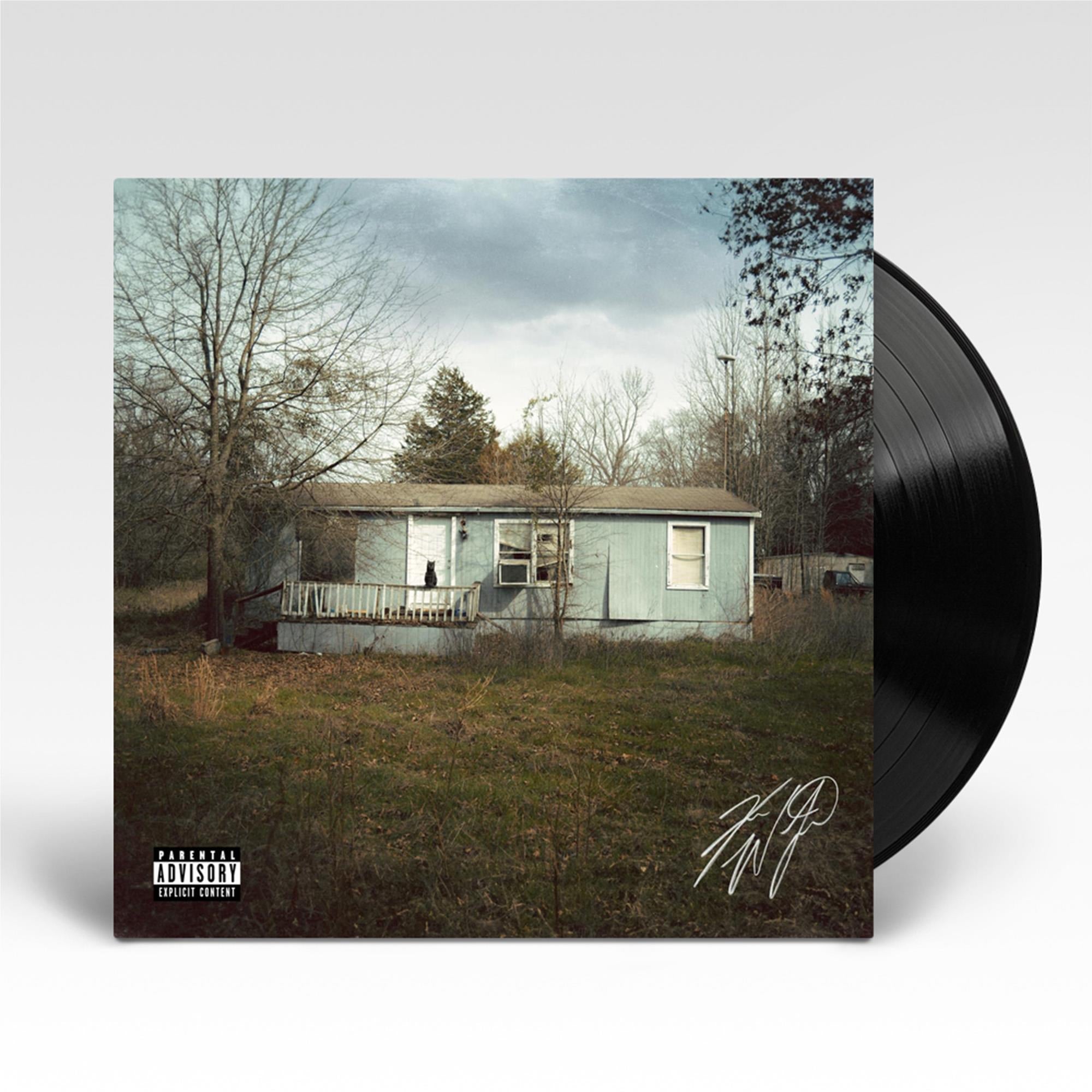 9 Lives Vinyl Record - Imported Music LP for Collectors & Audiophiles - Perfect for Home Listening & Gifts