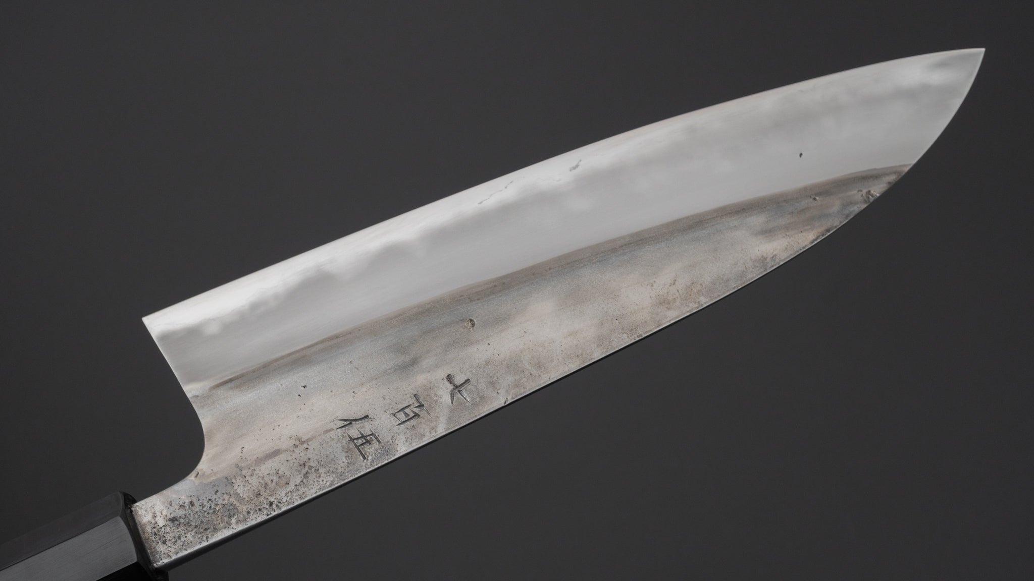 Premium Jiro Tsuchime Wa Gyuto 210mm Japanese Chef Knife with Taihei Tagayasan Handle - Perfect for Sushi, Meat Cutting & Professional Kitchen Use