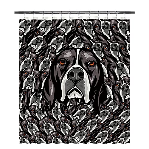 English Pointer