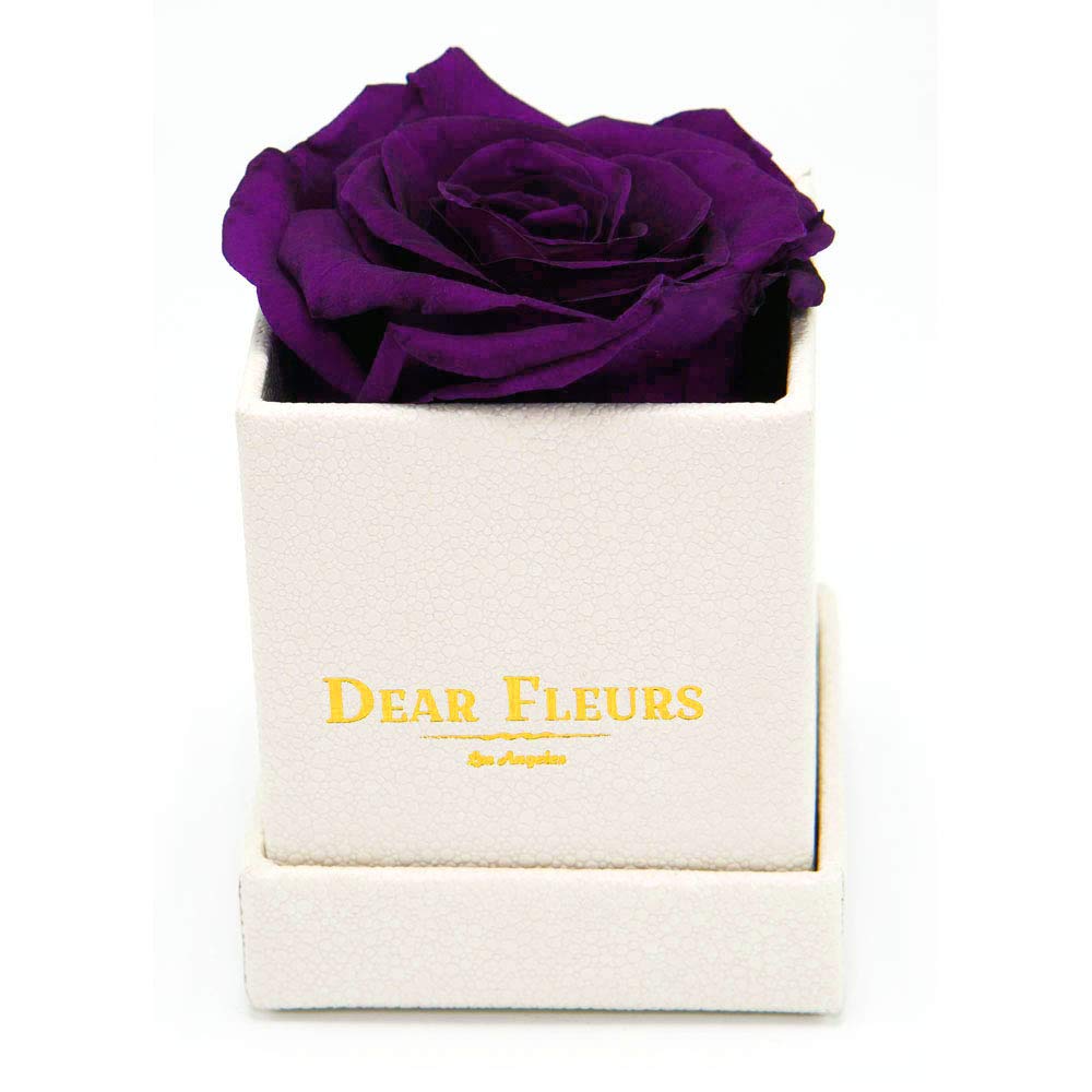 Petit Rose | Real Preserved Roses That Last 1 Year | Eternal Rose Gift in Purple & White Leather Box (Perfect for Anniversaries, Valentine's Day & Home Decor)
