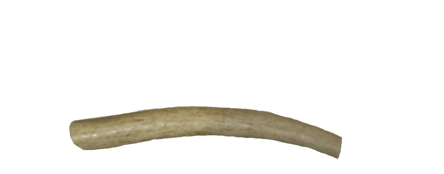 QT Dog All Natural Chew Toy - Durable & Safe Puppy Chewing Bone for Aggressive Chewers - Perfect for Teething, Training & Dental Health