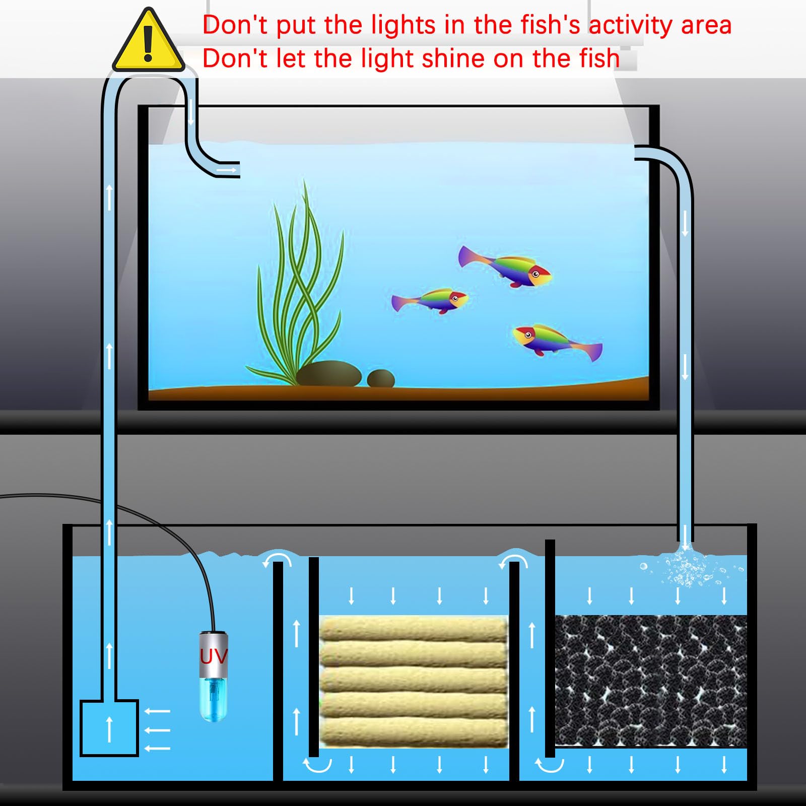 TAISHAN 3W Mini Aquarium Clean Light with Timer - Algae Removal LED Light for Fish Tank, Pond, Swimming Pool | Perfect for Freshwater & Saltwater Tanks, Water Features & Decorative Ponds