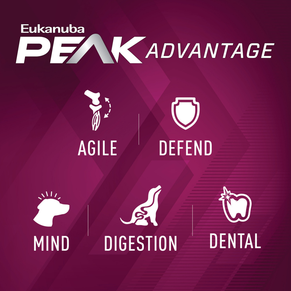 Eukanuba Premium Performance 21/13 Sprint Dry Dog Food - High Protein for Active Dogs - Ideal for Running, Hunting & Athletic Training