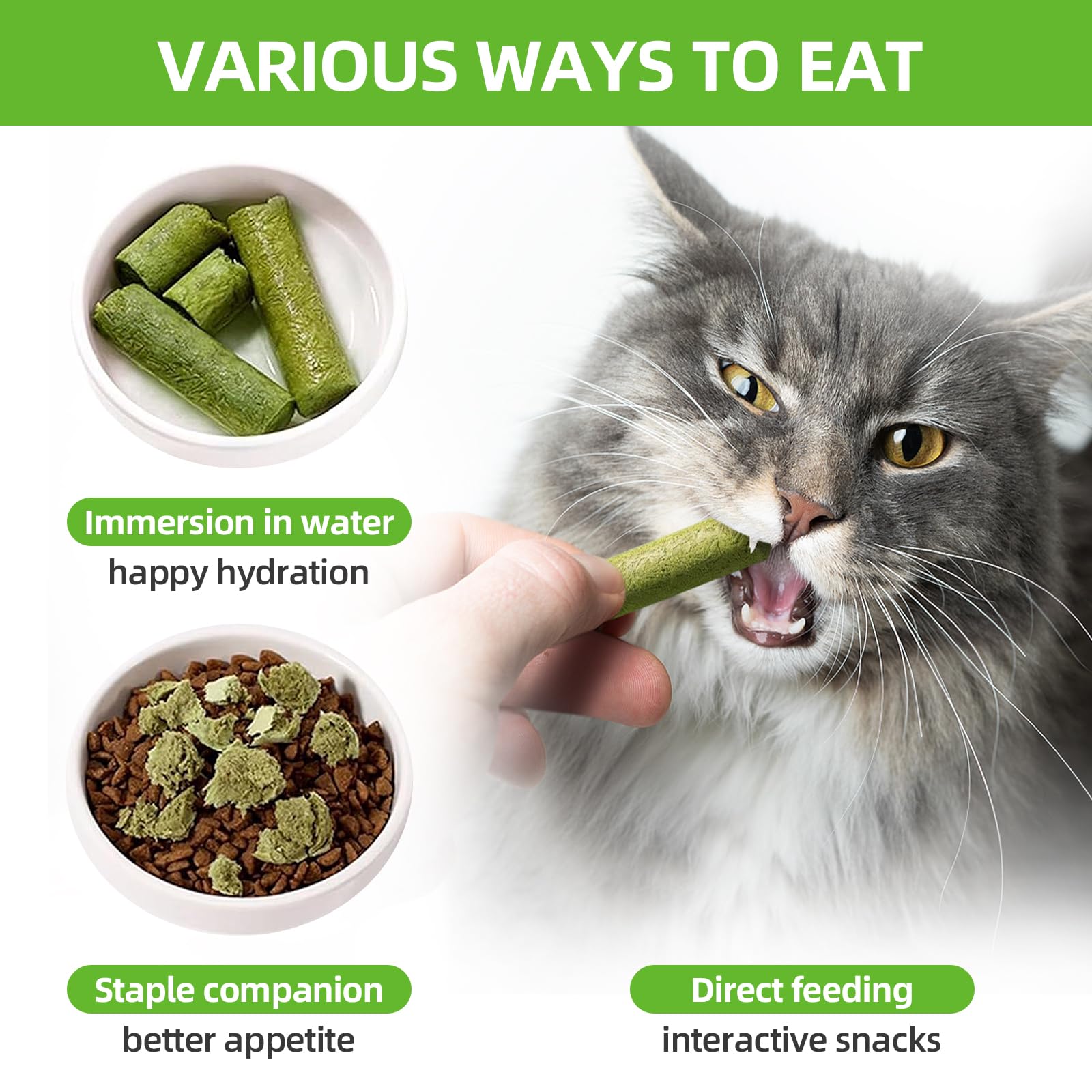 Natural Cat Grass Sticks 100g - Healthy Cat Treats for Hairball Control, Teeth Cleaning & Appetite Stimulation | Catnip-Infused Edible Chew Toys for Indoor Cats & Kittens | Perfect for Playtime, Training & Digestive Health