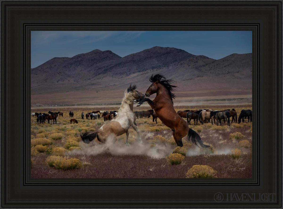 Desert Duel 5 by Greg Sargent - Western Action Novel - Perfect for Book Clubs & Cowboy Adventure Fans