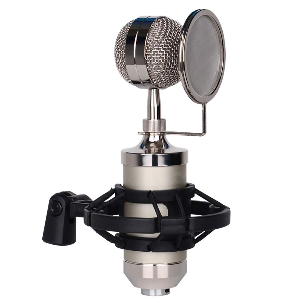 Wireless Bluetooth Microphone Speaker Karaoke System for Home KTV - Compatible with Computer, Smartphones & TV - Perfect for Home Parties, Singing Practice & Entertainment
