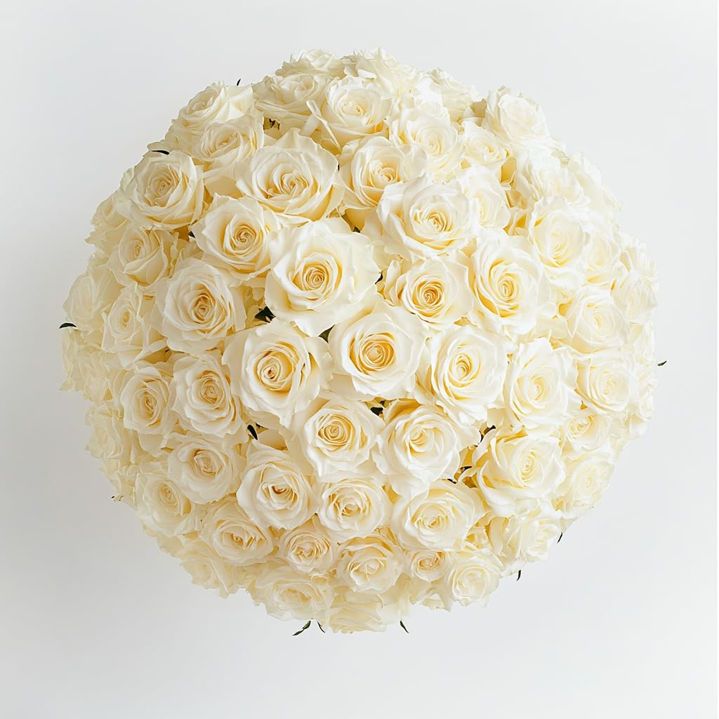 50 Fresh Cut White Roses Bouquet - Birthday, Anniversary Gift & Home Decor Flowers | Premium Flower Delivery for Weddings, Valentine's Day & Special Occasions
