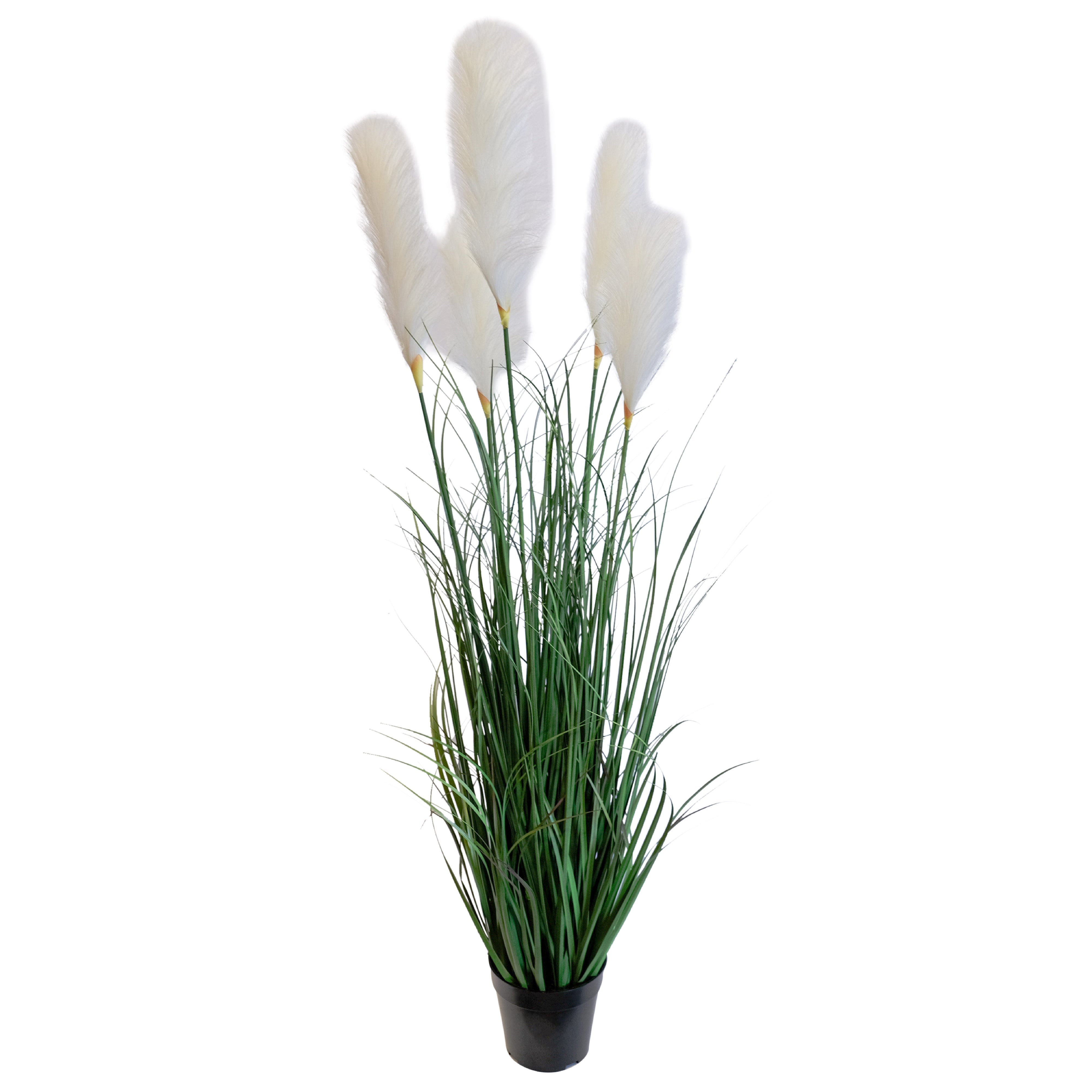 Premium Artificial Pampas Grass Plant - 43