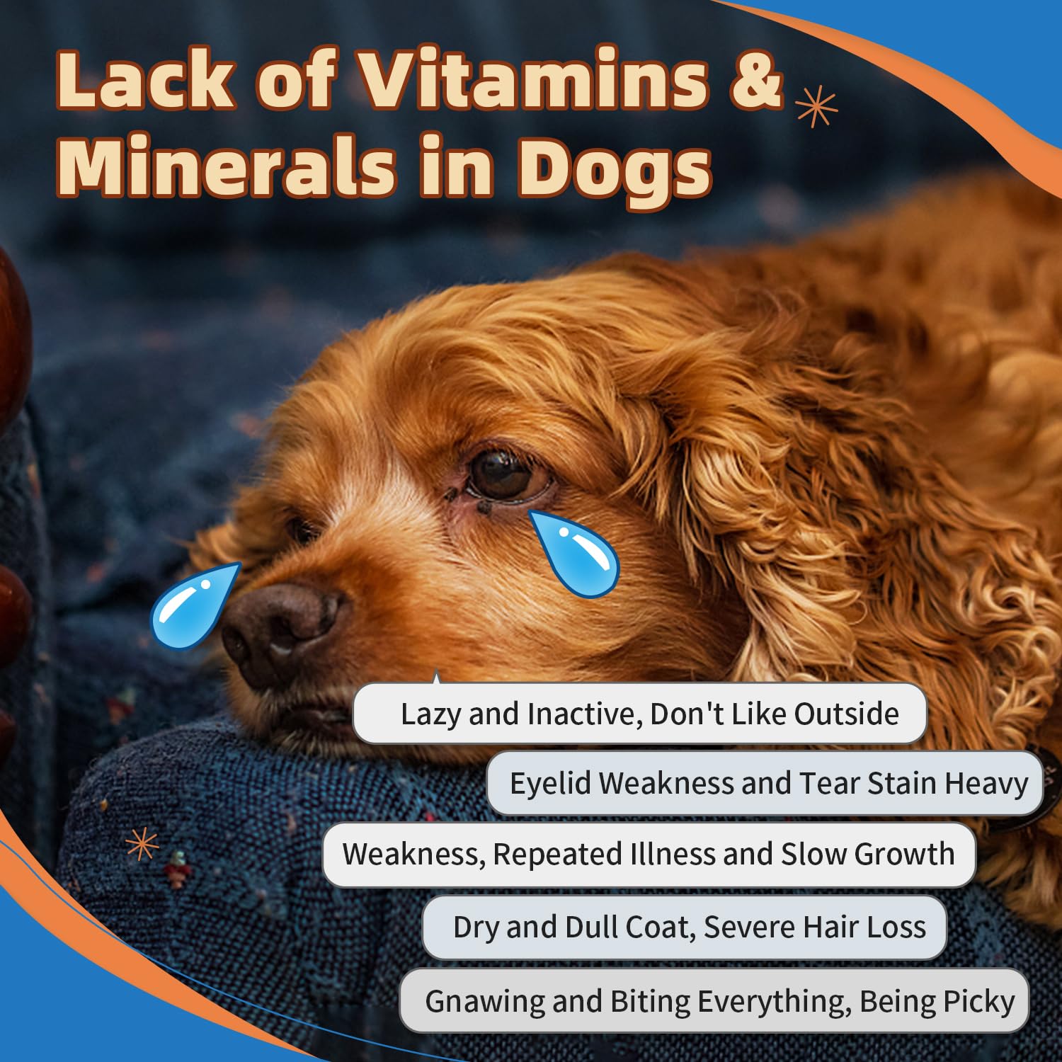 Premium Dog Multivitamin Powder with Glucosamine & Omega 3 - Immune Support, Skin & Coat Supplement for Allergy Relief - Probiotics for Digestive Health - Ideal for Active Dogs & Senior Pets