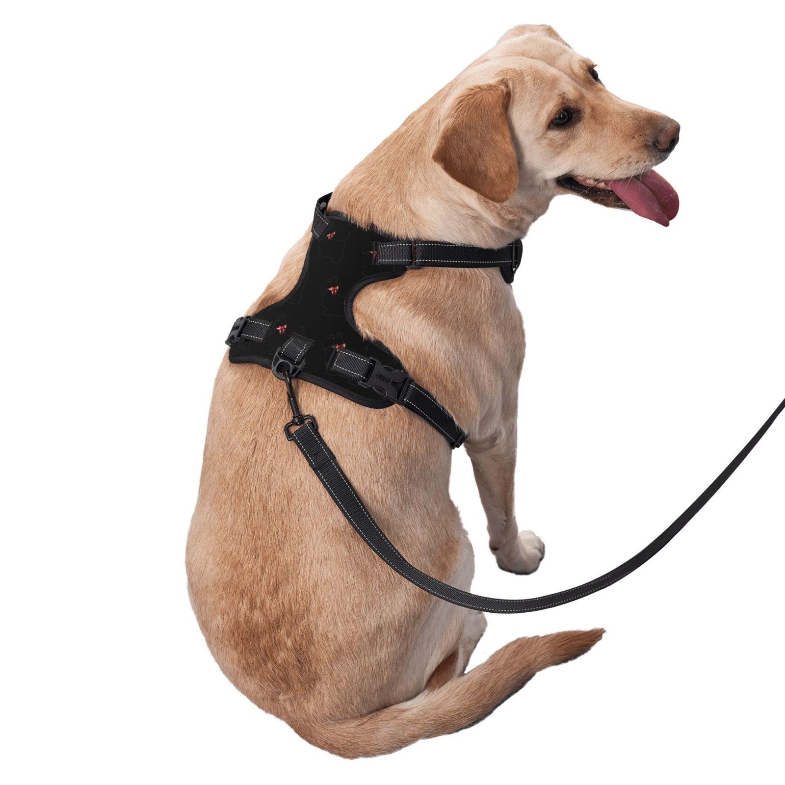 **Breathable No-Pull Dog Harness with Leash – Escape Proof, Soft Padded Vest for Training & Outdoor Walking – Funny Scottie Dog Pattern – Perfect for Hiking, Jogging & Daily Walks**