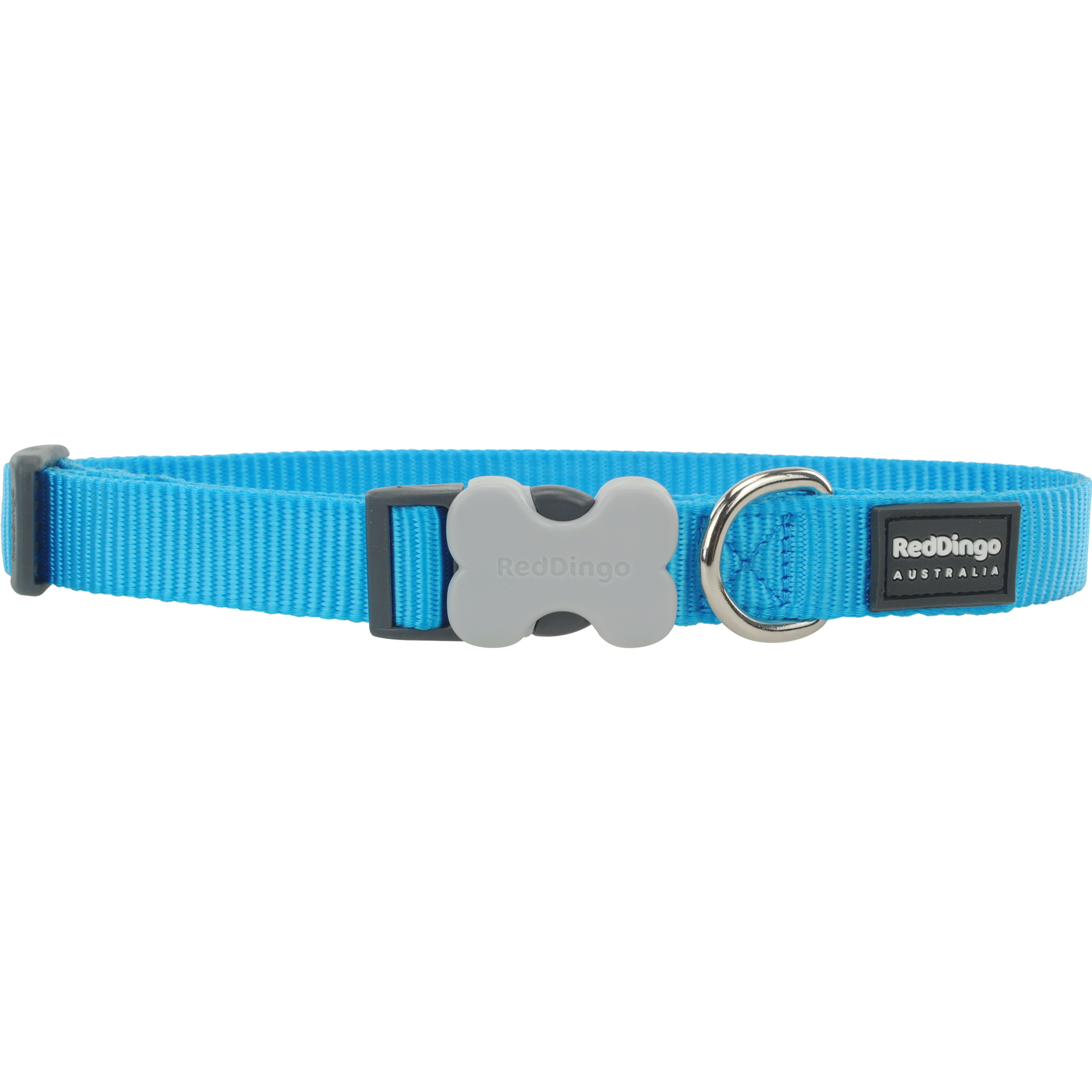 Red Dingo Turquoise Bucklebone Classic Dog Collar - Adjustable Nylon Pet Collar for Small Medium Dogs, Durable & Comfortable for Daily Walks, Training & Outdoor Adventures