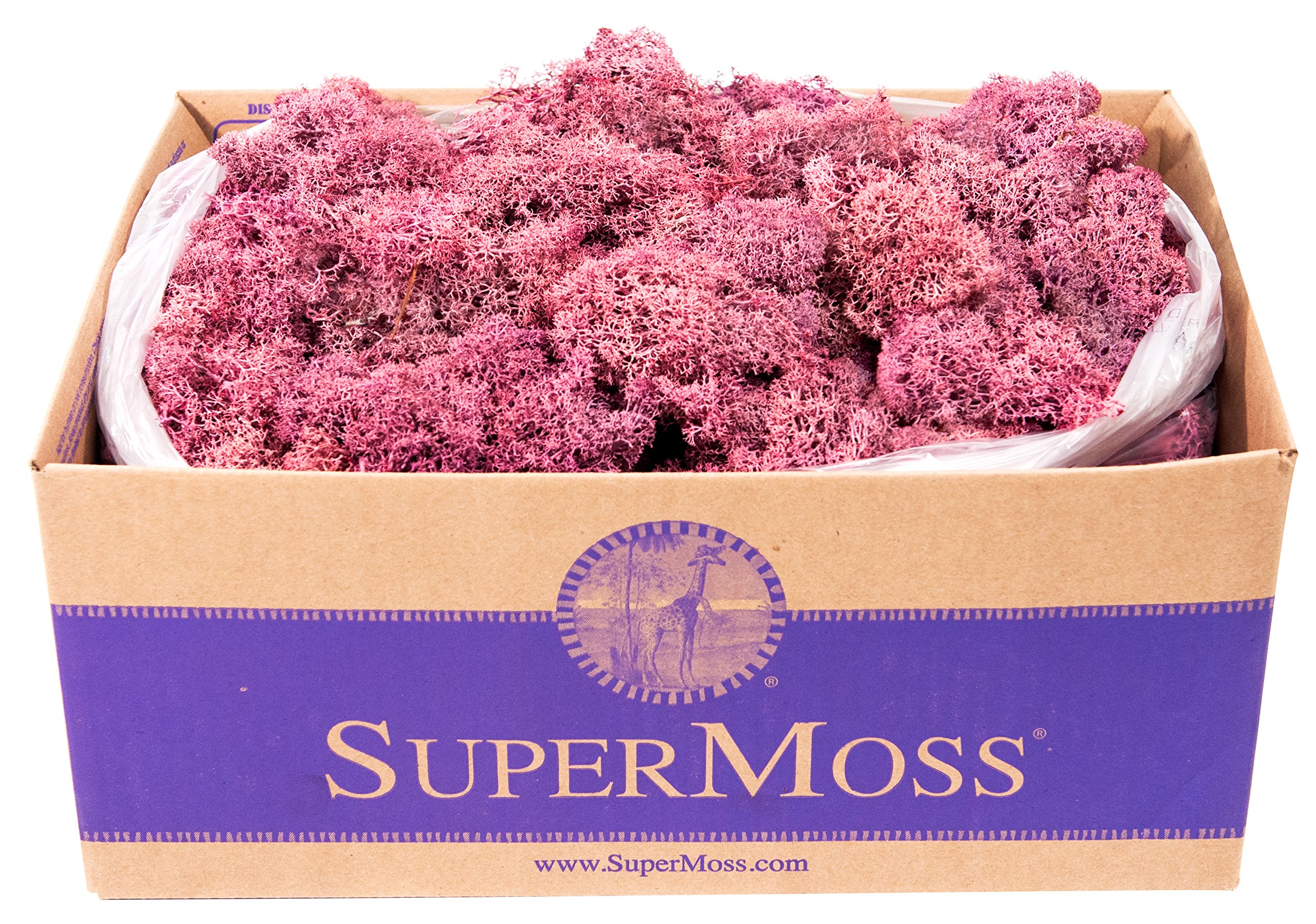 SuperMoss Preserved Reindeer Moss - Dusty Rose (3 lbs) | Natural Decorative Moss for Terrariums, Floral Arrangements & Home Decor