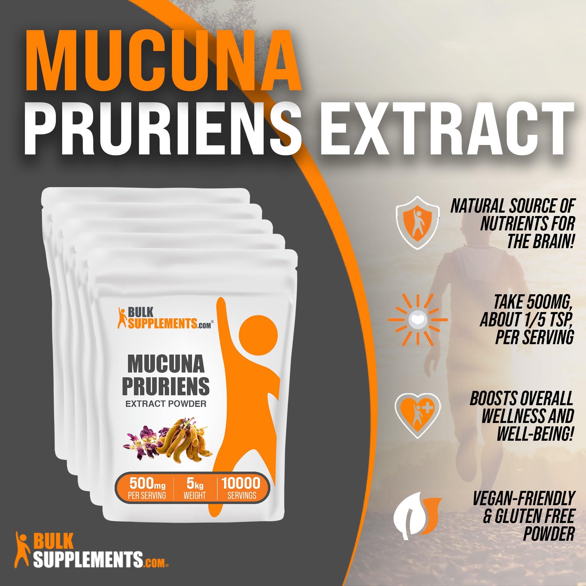 BulkSupplements.com Mucuna Pruriens Extract Powder 500mg per Serving - Organic Herbal Supplement from Mucuna Pruriens Seed, Gluten Free, Non-GMO - Pack of 5 (5kg/11lbs) for Energy Boost, Stress Relief & Brain Health