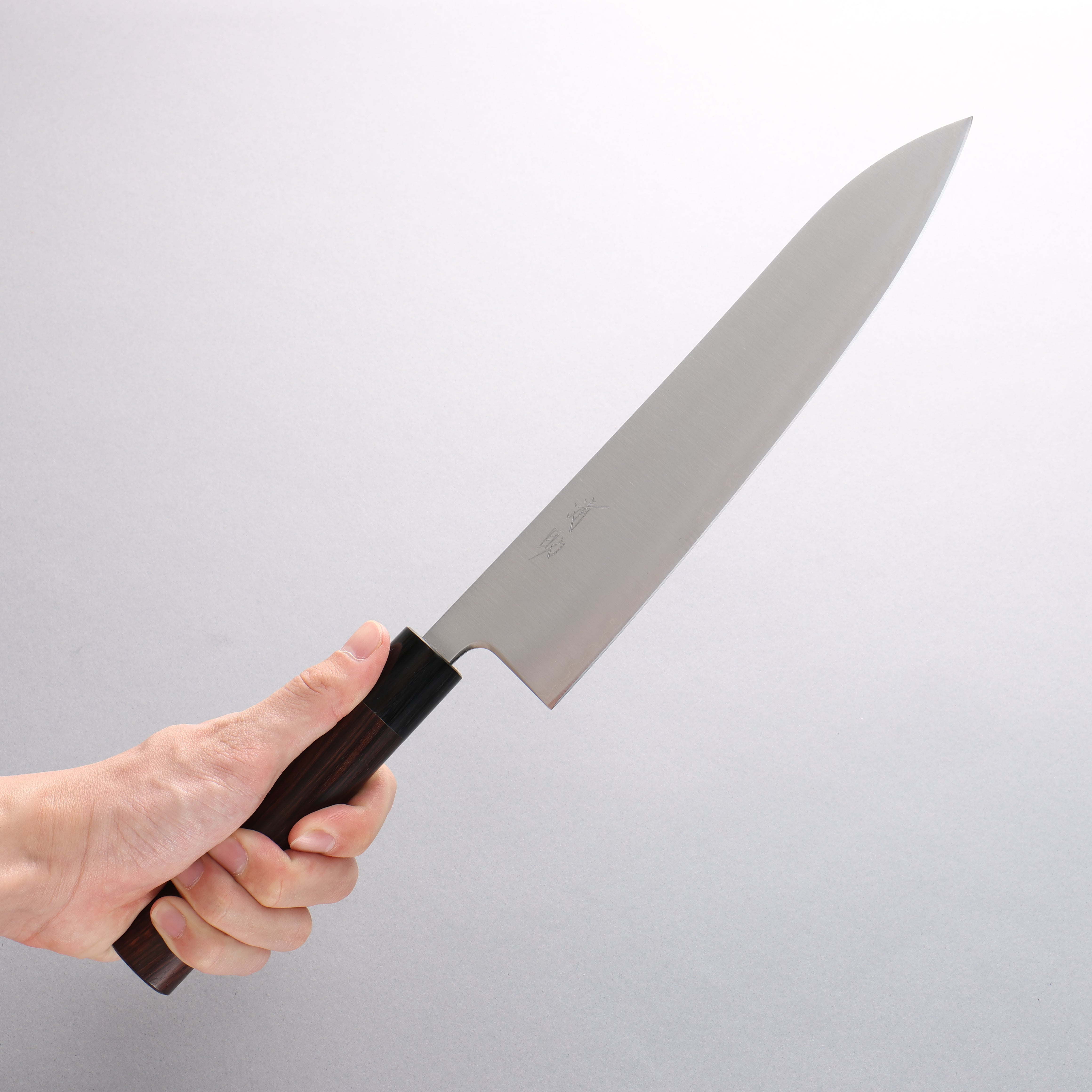 Premium Seisuke Blue Super Gyuto 240mm Japanese Chef Knife - Rosewood Handle with Black Pakka Wood Ferrule - Professional Kitchen Knife for Slicing, Dicing & Meat Cutting