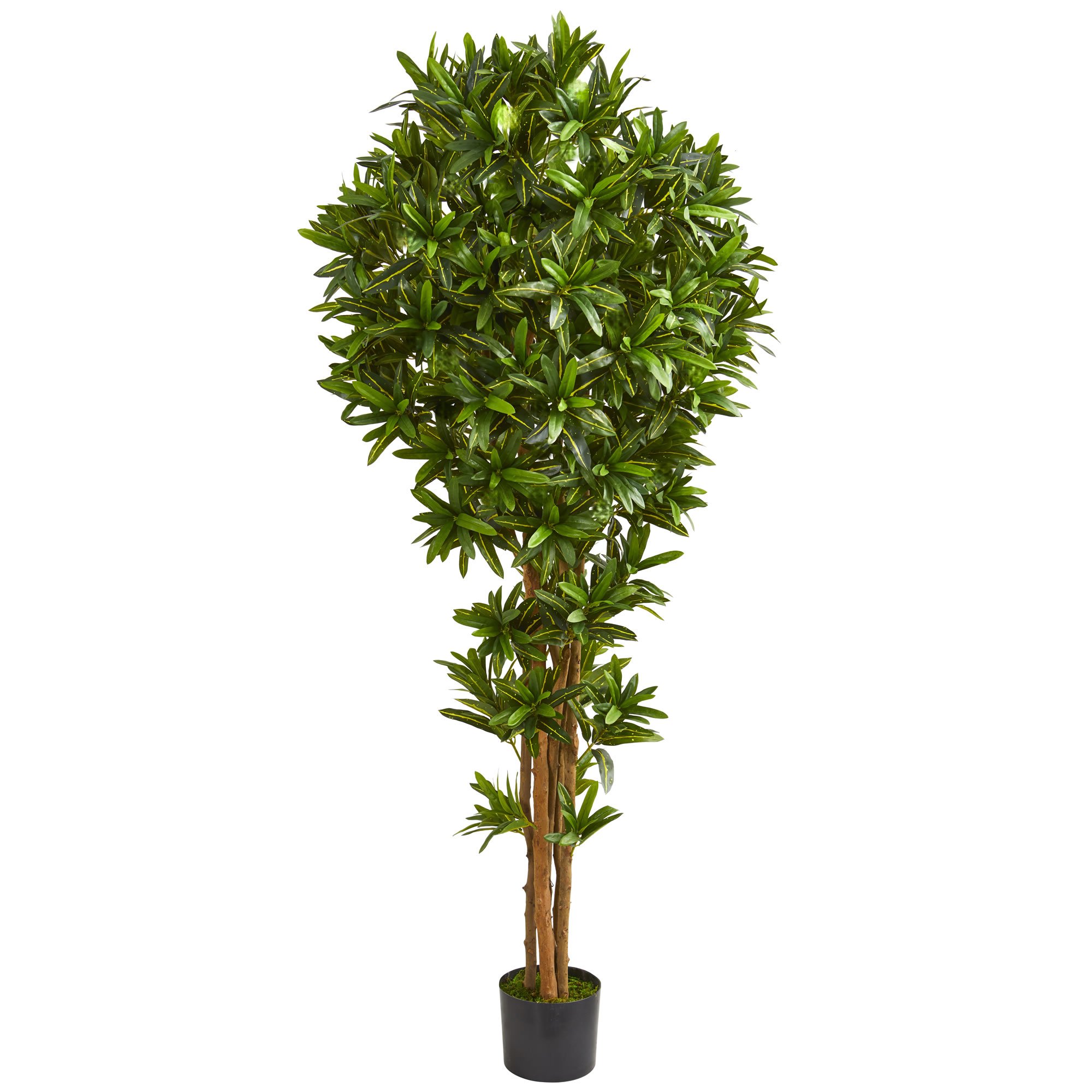 Nearly Natural 6-Foot Dracaena Artificial Tree - Lifelike Green Faux Plant for Home, Office & Indoor Decor - Perfect for Living Room, Bedroom or Office Space