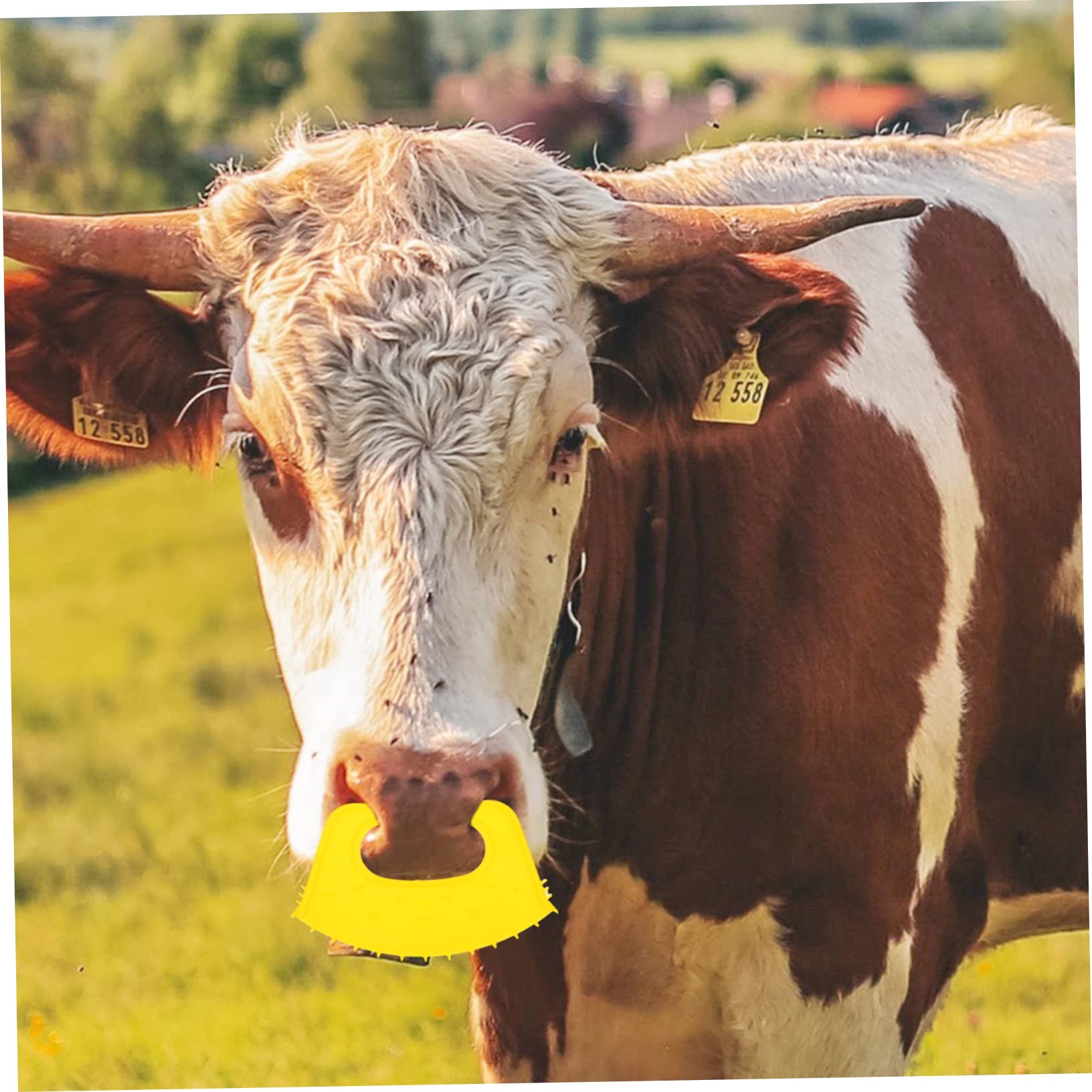 CIMAXIC 40 Pcs Calf Weaner Nose Rings - Anti-Suckling Milk Preventer for Livestock, PP Plastic Bull Nose Clamps - Ideal for Weaning Calves, Dairy Farming & Cattle Management