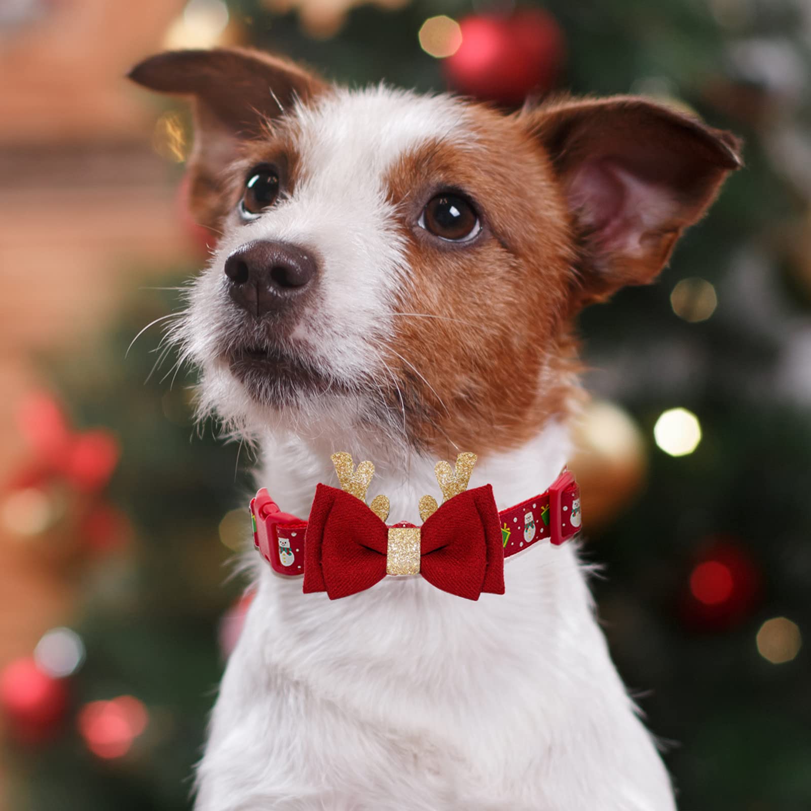 Adjustable Christmas Dog Collar with Antler Bow Tie - Festive Xmas Pet Collar for Small Dogs & Puppies | Perfect for Holiday Photos, Parties & Winter Walks