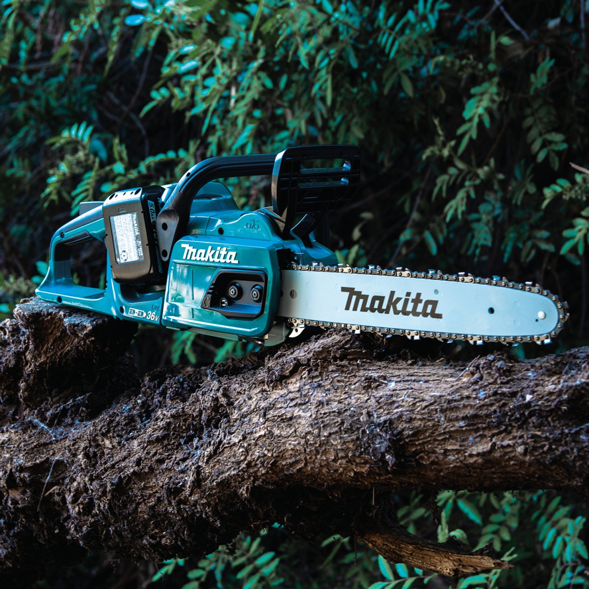 36V (18V X2) LXT® Brushless Cordless 14-Inch Chain Saw - Powerful Electric Chainsaw for Wood Cutting, Tree Trimming & Yard Maintenance
