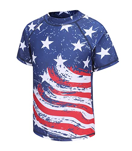 American Flag 22