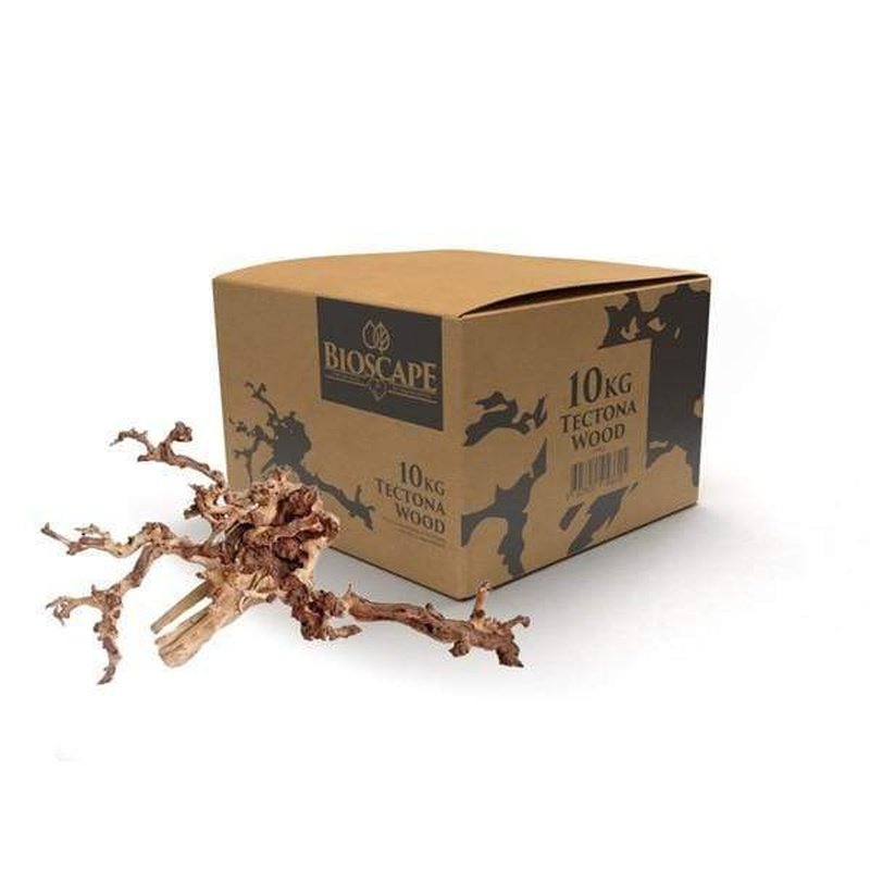 Bioscape Tectona Coral Driftwood for Aquarium - Natural Decorative Wood for Fish Tank, Terrarium & Reptile Habitat - Enhances Water Quality & Creates Stunning Underwater Scenery