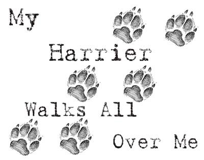 Cahoon's Closet My Harrier Walks All Over Me Funny Dog Lover T-Shirt - Comfortable Cotton Graphic Tee for Dog Owners, Pet Lovers & Humor Fans | Perfect for Casual Wear, Gifts & Dog-Themed Events