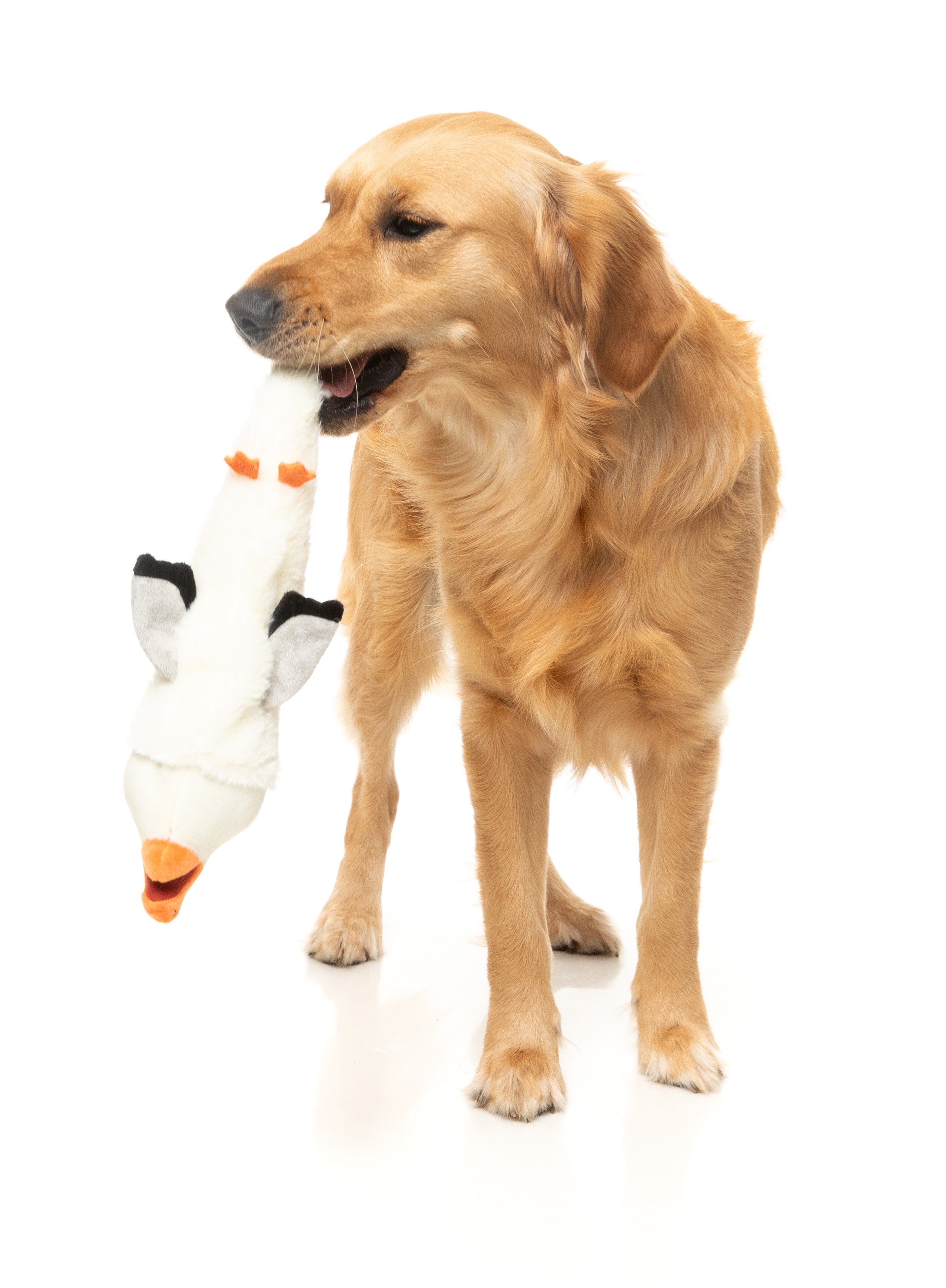 FuzzYard The Yeetz Swing and Throw Plush Dog Toy - Interactive Fetch Toy for Dogs with Squeaker, Durable & Soft (See Ya Seagull Design) - Perfect for Outdoor Play, Training & Bonding with Your Pet