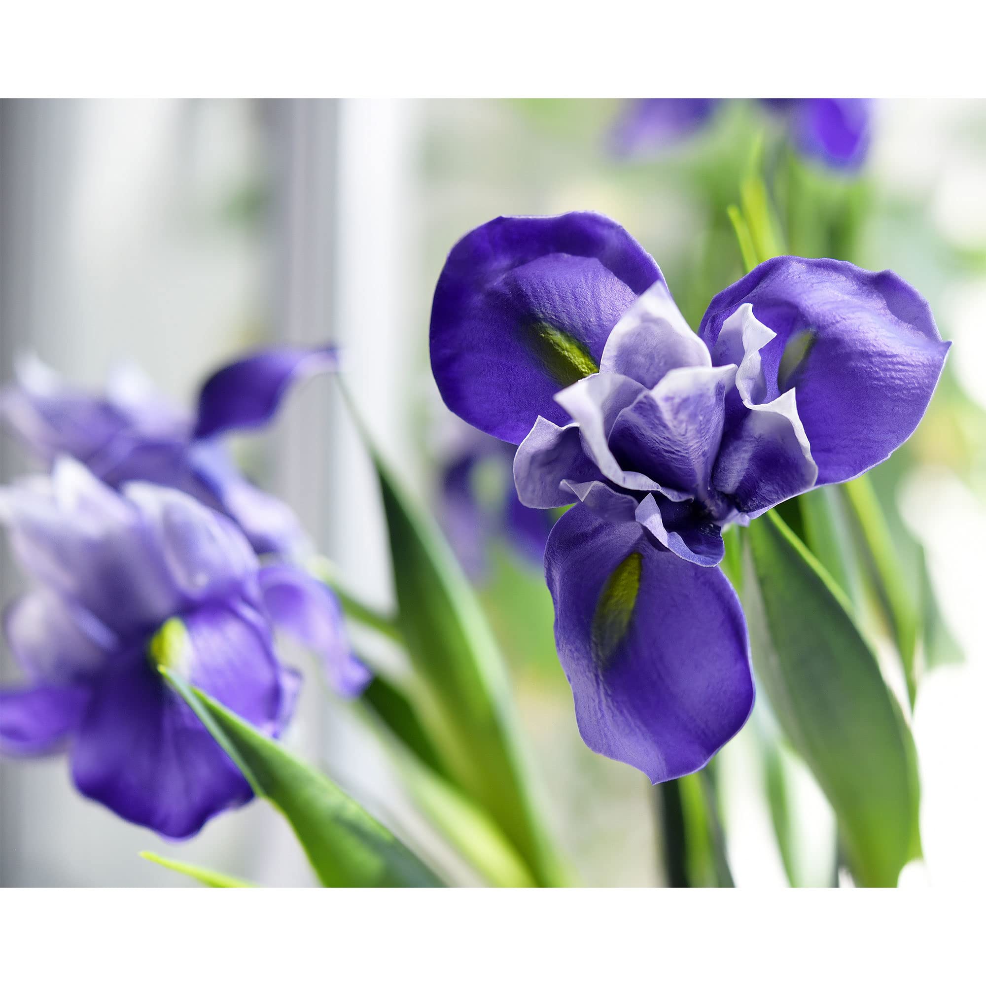 6 Long-Stem Real Touch Artificial Purple Irises - Lifelike Faux Flowers for Home Décor, Wedding Bouquets, Centerpieces & Floral Arrangements | Perfect for Living Room, Bedroom, Office & Event Decorations