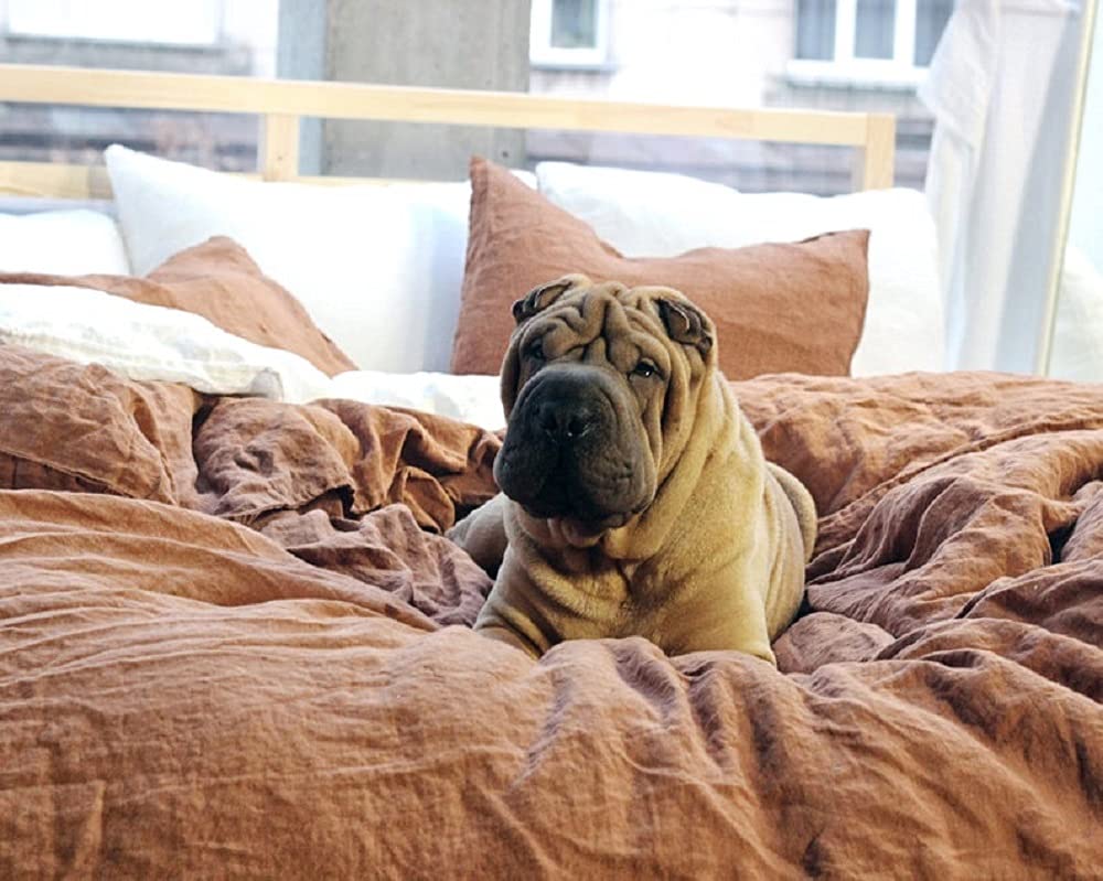 Stonewashed Cinnamon Cotton Duvet Cover Set - King & Queen Size Tobacco Brown Bedding - 100% Pure Soft Breathable Comforter Cover - Custom Sizes Available - Perfect for Cozy Bedrooms, Guest Rooms & Vacation Homes