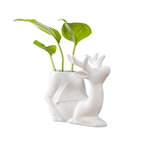Deer White