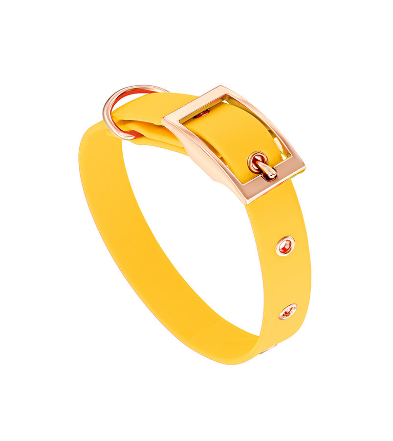 Brklz Rose Gold Dog Collar with Yellow Accents - Stylish & Durable Pet Accessory for Small & Medium Dogs - Perfect for Walks, Training & Everyday Wear