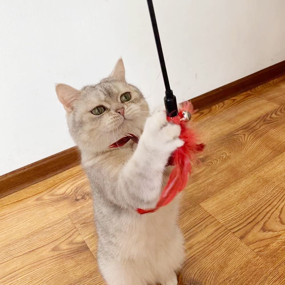 6 PCS Interactive Cat Wand Toys with Feathers & Bell - Fun Teaser Wand for Indoor Cats & Kittens - Perfect for Playtime, Exercise & Bonding