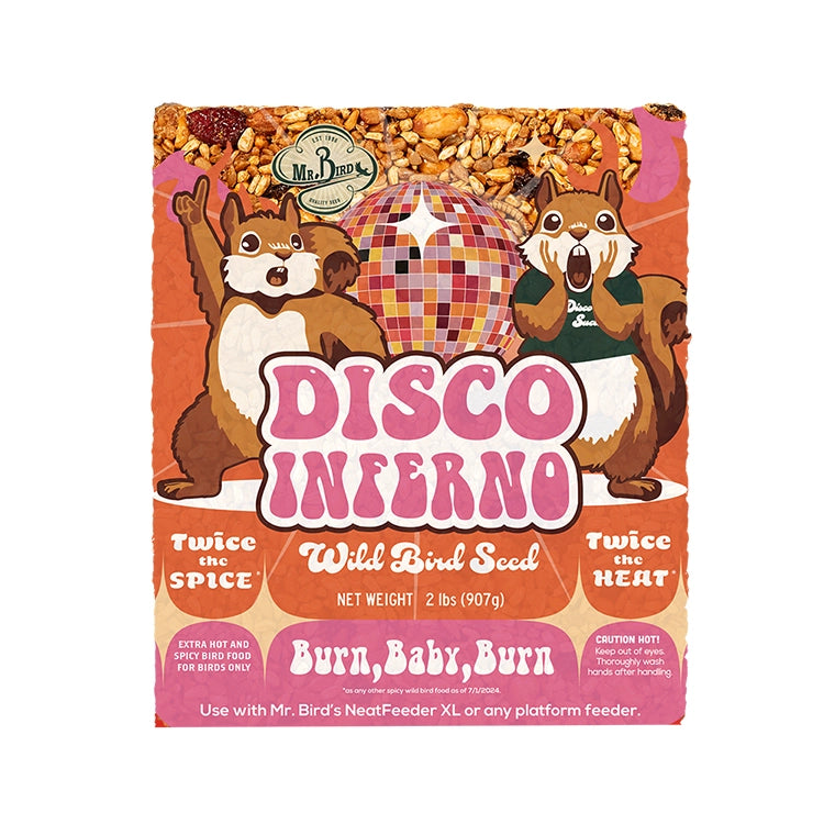 Disco Inferno Large Cake - 16 Inch Round Disco Ball Birthday Cake for Parties, Celebrations & Special Events | Perfect for Nightclub, Themed & Glow in the Dark Parties