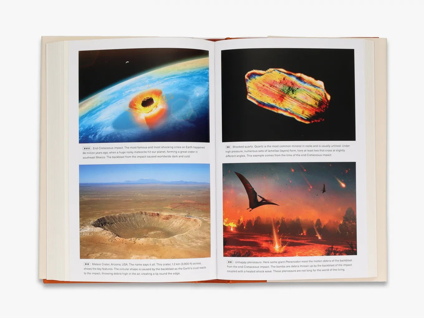 Extinctions - Explore the History of Extinct Species | Educational Books & Resources for Students & Teachers | Perfect for Classrooms, Homeschooling & Science Enthusiasts