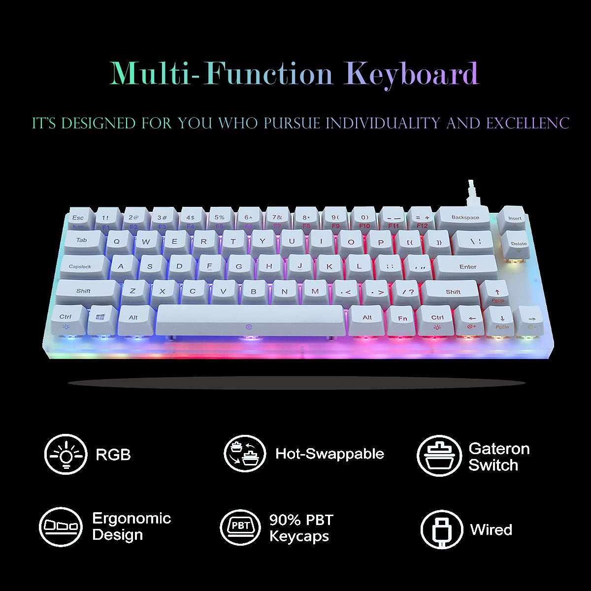 Womier K66 60% Compact Mechanical Gaming Keyboard - Hot Swappable Wired RGB Backlit Keyboard with Gateron Blue Switches, Acrylic Case for PC, PS4, Xbox - Perfect for Esports, Typing & Office Work