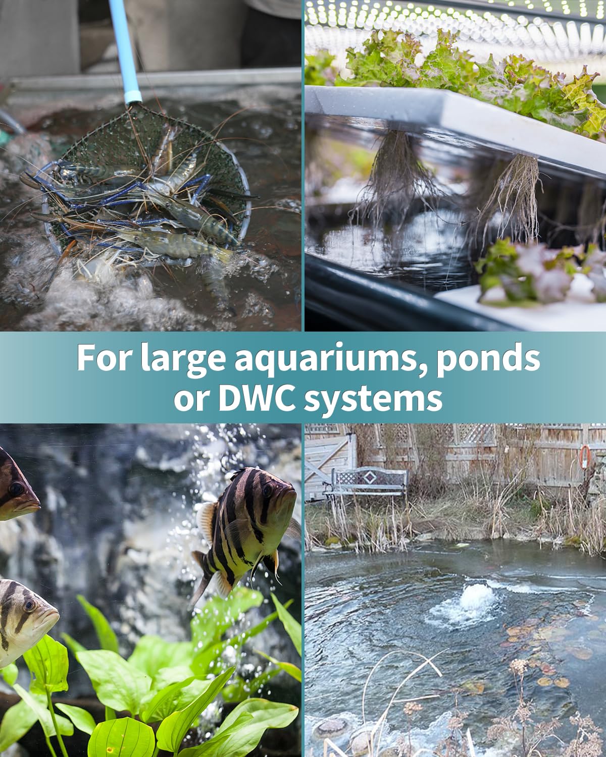 Pawfly 6 Inch Aquarium Air Stone - Large Fish Tank Bubbler Oxygen Diffuser for Air Pumps, Outdoor Garden Ponds & DWC Hydroponic Systems | Perfect for Aeration in Home Aquariums, Koi Ponds & Hydroponic Grow Tanks
