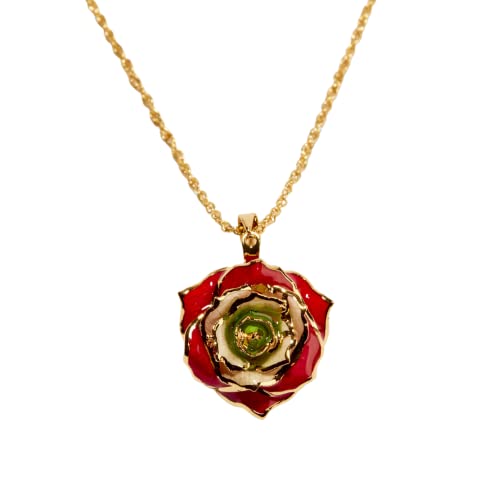 Revolutionary Rose of Lebanon