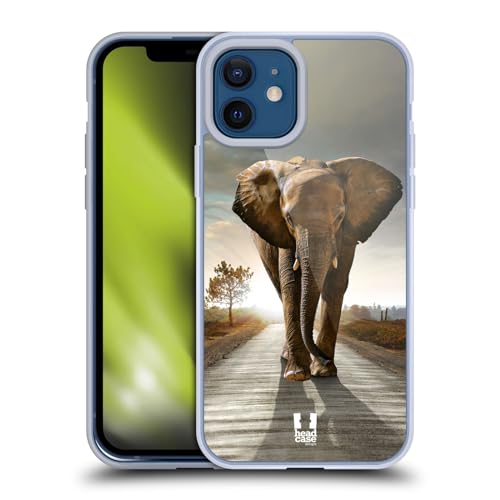 Elephant Walking On The Road