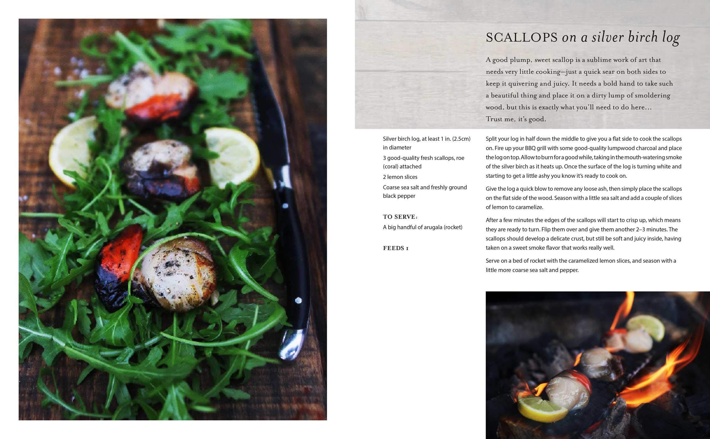 65 Outdoor Cooking Recipes for Bold & Flavorful Dishes - Perfect for Camping, Backyard BBQs & Picnics