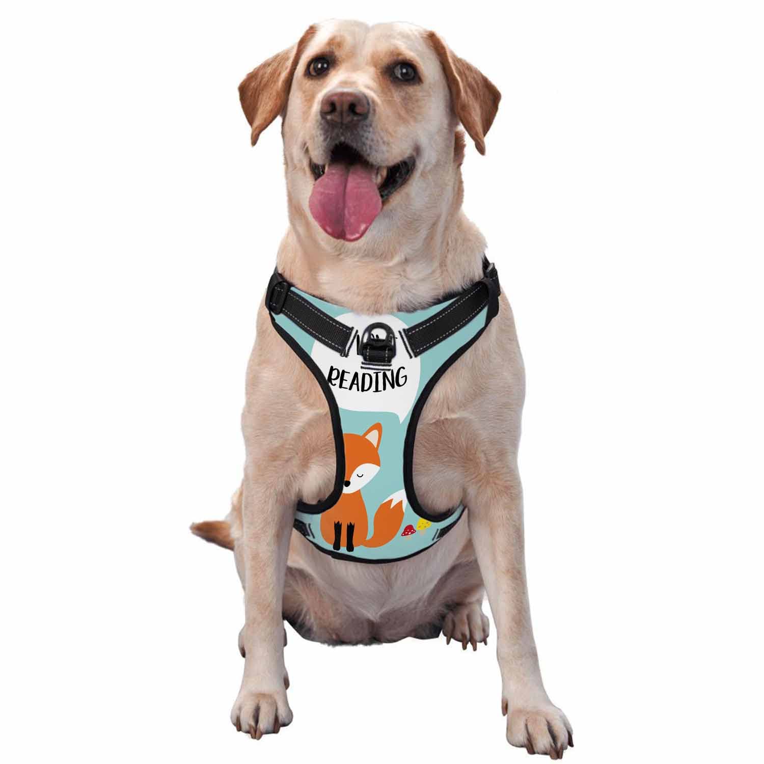 Cute Fox Dog Harness Set with Leaves & Flowers - Adjustable No-Pull Vest & Leash for Small Dogs & Puppies (Size S) - Perfect for Walks, Training & Outdoor Adventures