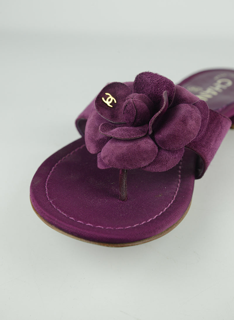 Chanel Camelia Flat Sandals Size 36 - Women's Luxury Designer Shoes for Casual Wear & Summer Outfits